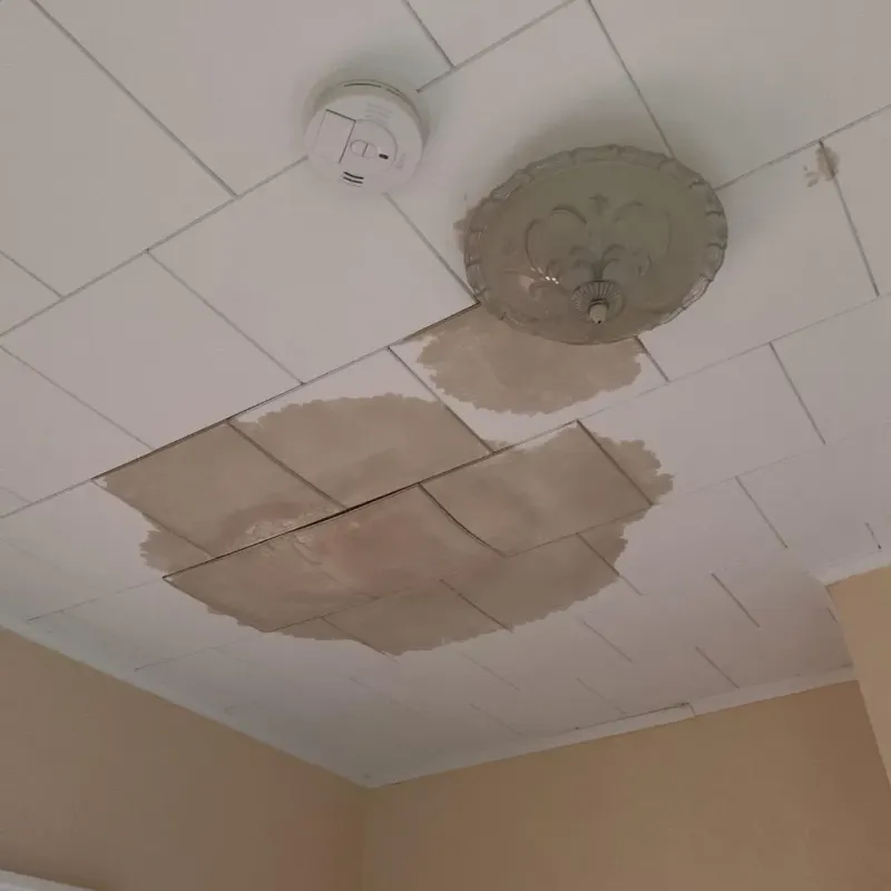 Ceiling Water Damage Repair in Clover Hill, MD