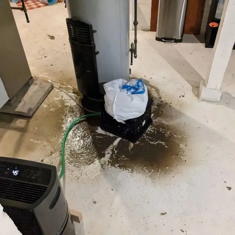 Sewage Backup Cleanup Service in Clover Hill, MD